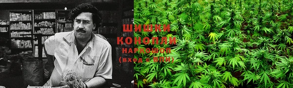 spice Алексеевка