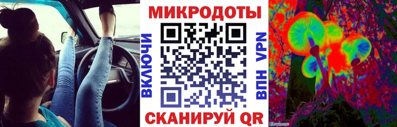 закладки  Богучар  Псилоцибиновые грибы мухоморы 